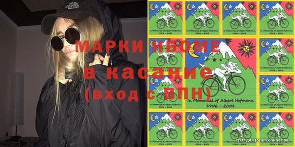 стаф Елабуга