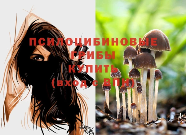 синтетический гашиш Ельня