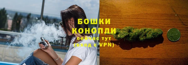 стаф Елабуга